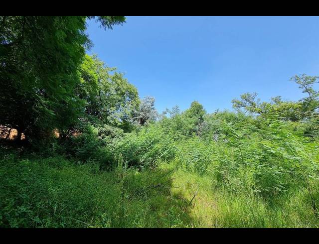 LAND FOR SALE IN SANDHURST